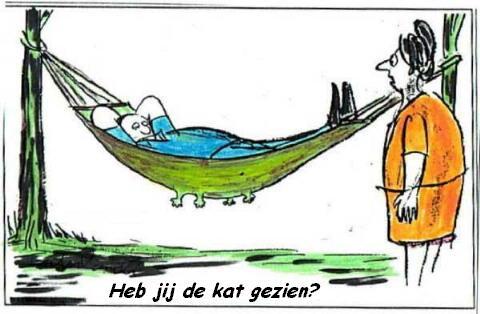 heb-je-de-kat-gezien (2).jpg